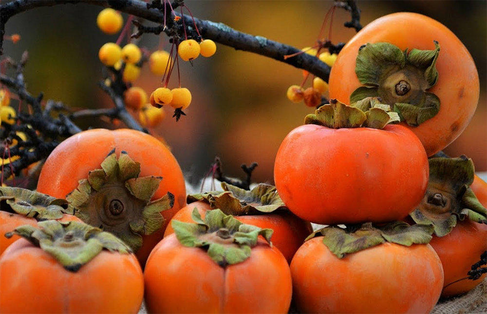 10 reasons to buy persimmons for every day